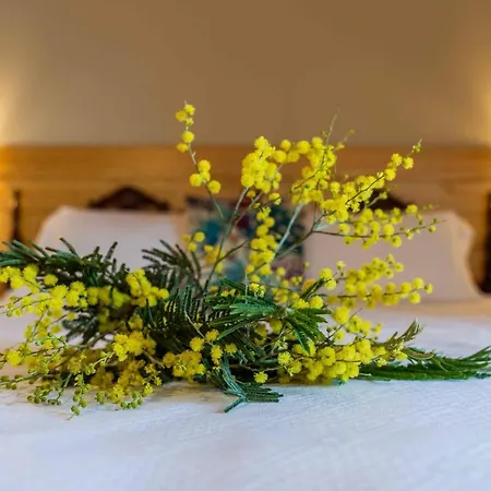 O Viso Ecovillage - Ecologico Vegano